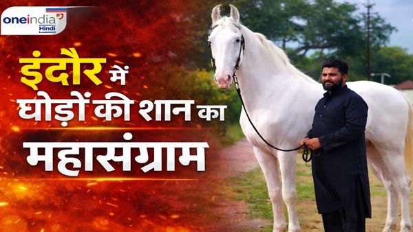 Indore News: सेंट्रल इंडिया हॉर्स शो का भव्य आगाज, महू के ‘मुतर्ज़िल’ ने टू टीथ कैटेगरी में जीता पहला स्थान