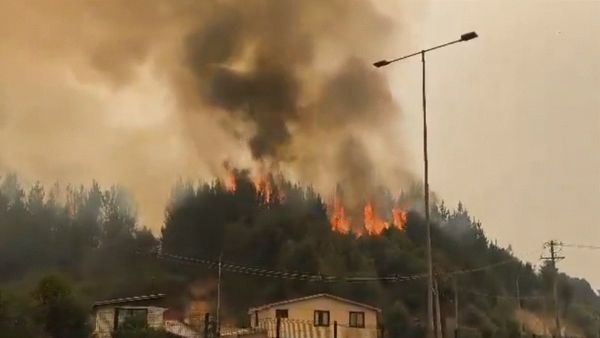 Chile Forest Fire 2026: जंगल से निकली आग का बवंडर, निगल गया शहर, 19 की मौत और 50,000 बेघर