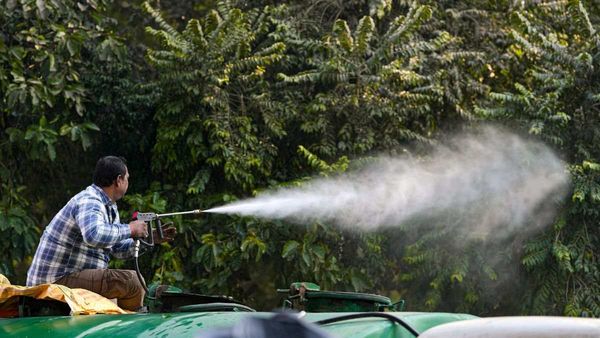 Delhi AQI Today: सावधान! दिल्ली में प्रदूषण ने बढ़ाई टेंशन, कोहरे के कारण उड़ानों में देरी, 11 जनवरी तक अलर्ट