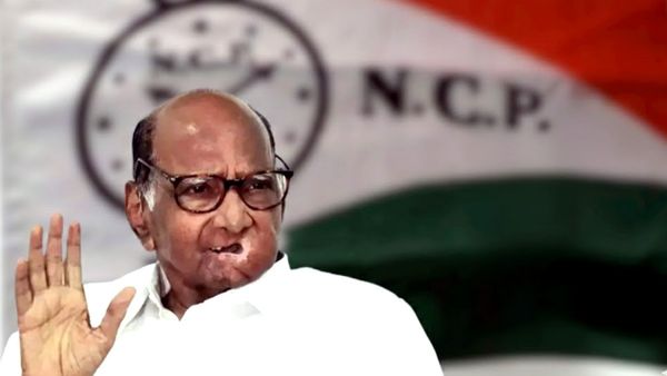 NCP Reunion: 12 फरवरी को होने वाला था NCP का विलय, शरद पवार का बड़ा खुलासा, मर्जर के बाद किसके हाथ में कमान?