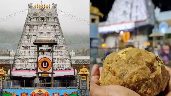 Tirupati Laddu Row: तिरुपति लड्डू विवाद की अंतिम चार्जशीट से सियासी भूचाल, जानिए CBI-SIT के 5 बड़े खुलासे