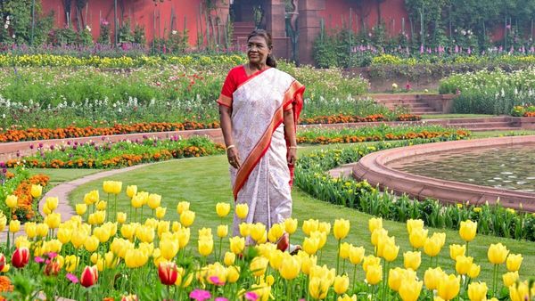 Rashtrapati Bhavan Udyan: राष्ट्रपति भवन का उद्यान 3 फरवरी से फ्री में देखें, एंट्री से टाइमिंग तक पूरी गाइड