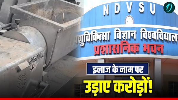 MP News: इलाज के नाम पर उड़ाए करोड़ों! जानिए कैसे जबलपुर में पंचगव्य योजना में हुआ 3.5 करोड़ का बड़ा घोटाला