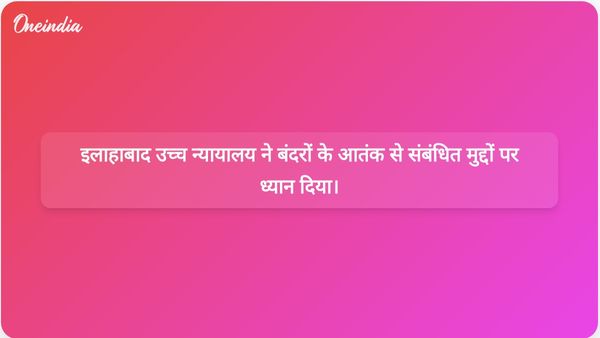 इलाहाबाद उच्च न्यायालय ने अधिकारियों को बंदरों के आतंक के खिलाफ उठाए गए उपायों पर रिपोर्ट देने का निर्देश दिया