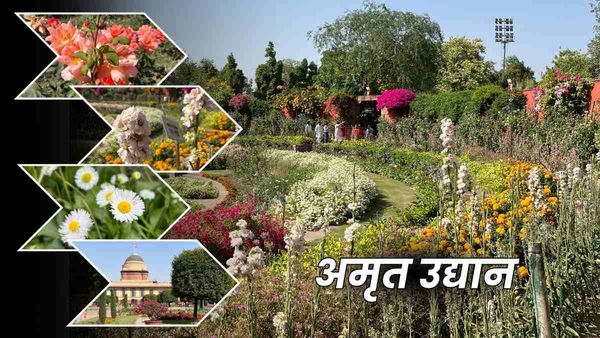 Amrit Udyan जाने के लिए कौन सा है नजदीकी मेट्रो स्टेशन? ऑनलाइन टिकट बुकिंग से लेकर टाइमिंग की जानकारी