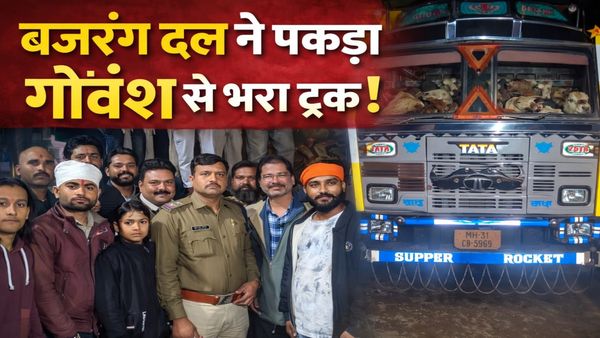 MP News: बजरंग दल और जन सेवा समिति की बड़ी कार्रवाई, 36 गोवंश से भरा 14 चक्का ट्रक पकड़ा, तस्कर फरार
