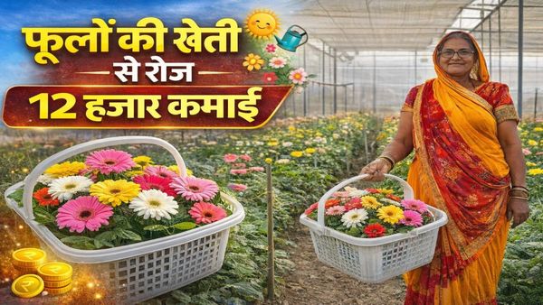 Success Story: इस योजना ने भोपाल की लक्ष्मीबाई की बदली किस्मत, पॉलीहाउस में फूलों की खेती से रोज ₹12 हजार कमाई