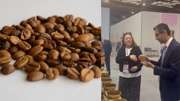 Sundar Pichai Coffee: क्या है मॉनसून्ड मालाबार कॉफी, जिसके मुरीद हुए सुंदर पिचाई, हवा-नमी से बदल जाता है स्वाद