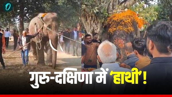 शिक्षक को मिला 'हाथी' गिफ्ट, 2000 KM का सफर तय कर अरुणाचल से पहुंचा यूपी, देखें Viral वीडियो