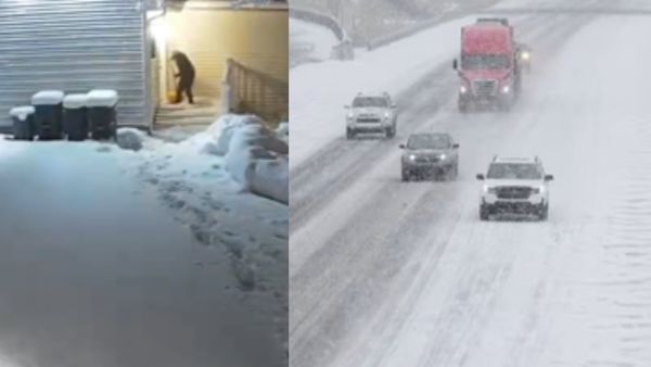 USA Winter Storm: अमेरिका में 'बर्फ का प्रलय'! जम गई सड़कें, 10,000 उड़ानें रद्द, 6 लाख घरों में अंधेरा