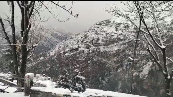 Uttarakhand Weather सुबह कोहरा, दिन में चटक धूप, मौसम बना शुष्क, दो दिन बाद फिर से बारिश व बर्फबारी का अलर्ट