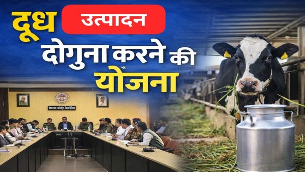 Vidisha MP News: गांव-गांव बहेगी क्षीर धारा, दूध उत्पादन दोगुना करने की बड़ी तैयारी, महिलाओं को मिलेगा फायदा