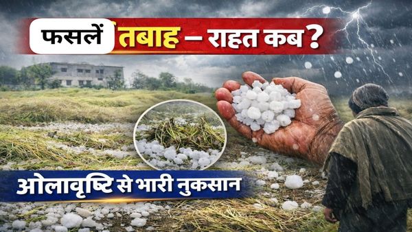 Kisan MP News: किसानों की फसलों का सत्यानाश! सरकार से मिलेगी बड़ी मदद? जानिए पूरी खबर और राहत पैकेज की डिटेल