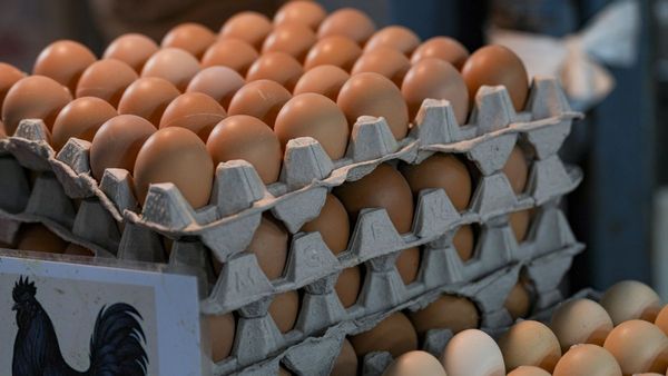 UP में अलर्ट! संडे हो या मंडे अब नहीं मिलेंगे एक्सपायरी अंडे, 1 अप्रैल से लागू होगा ये सख्त नियम