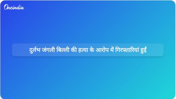 राजस्थान में दुर्लभ जंगली बिल्ली को मारने और उसका वीडियो ऑनलाइन साझा करने के आरोप में तीन लोगों को गिरफ्तार किया गया है।