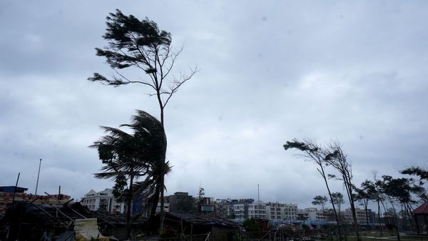 Weather Delhi-NCR: होली के रंग में भंग डालेगा IMD का नया अलर्ट, दिल्ली-एनसीआर में होगा मौसम का डबल अटैक