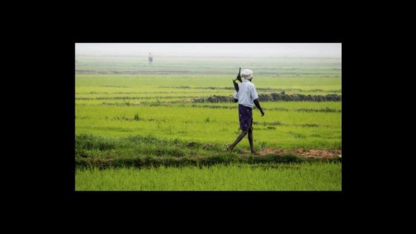 Bihar News:  अधिकारियों की फिटनेस से सुदृढ़ होगा प्रशासन, 150 कृषि पदाधिकारियों ने लिया विशेष साहसिक प्रशिक्षण