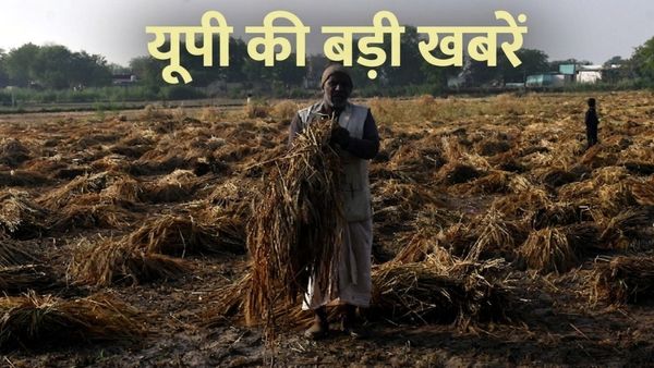 यूपी की खबरें: बारिश में फसल बर्बाद का मिलेगा मुआवजा, वर्कर्स की बढ़ेगी सैलरी, योगी सरकार के बड़े फैसले