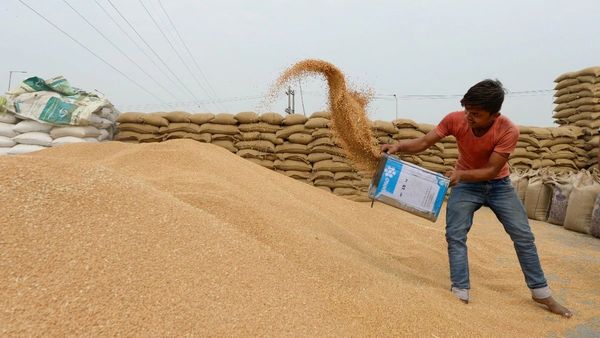 मध्यप्रदेश में बढ़ा गेहूं खरीदी कोटा, 100 लाख मीट्रिक टन तक पहुंचा लक्ष्य