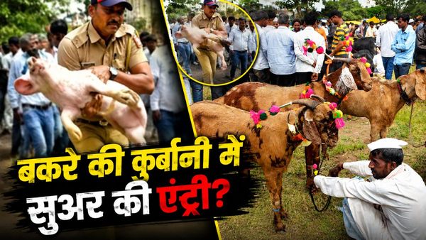 Bakra Qurbani Row: UP से बंगाल-महाराष्ट्र तक, बकरे पर घमासान! कुर्बानी का सही नियम क्या? कहां कटेगा-कहां बैन?