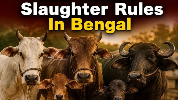 Bengal Animal Slaughter Rule: जानवरों की हत्या पर बंगाल में नया कानून, नियम तोड़ने पर जेल, आदेश से बढ़ी चिंता
