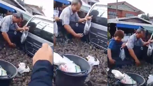China mouse market video: आलू-प्याज की तरह बिक रहे हैं जिंदा चूहे! थैले भर-भरकर खरीद रहे हैं लोग, वीडियो वायरल