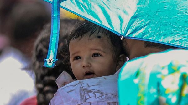 Punjab Heatwave Alert: पंजाब में गर्मी का कहर! 26 मई तक 10 जिलों के लिए IMD का ऑरेंज अलर्ट जारी