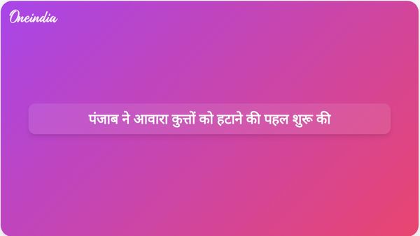 पंजाब सरकार ने सुप्रीम कोर्ट के आदेश के अनुपालन में आवारा कुत्तों को हटाने का अभियान शुरू किया है।