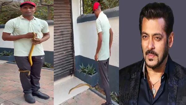 Salman Khan के घर में घुसा सांप, अपार्टमेंट में मची हलचल, लोग मजाक में बोले- लॉरेंस बिश्नोई आ गया
