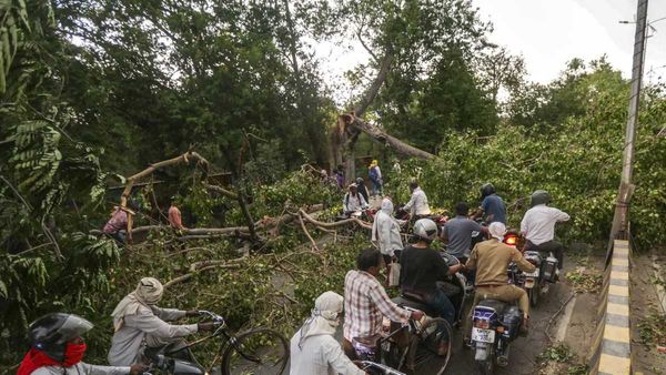 Storm: UP से Delhi तक 'कयामत' का मंजर! 117 लाशें, 330 घर तबाह, एक्सपर्ट ने बताया क्यों आ रहे आंधी-तूफान?