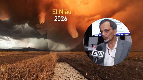 El Nino impact: खेती, ग्रामीण कमाई और महंगाई! मुख्य आर्थिक सलाहकार नागेश्वरन ने किस खतरे की ओर किया इशारा?