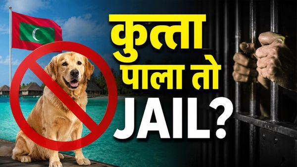 Maldives Dog Ban Secret: मालदीव में कुत्ता पालने पर क्यों है प्रतिबंध? नियम तोड़ने वाले को हो सकती है जेल