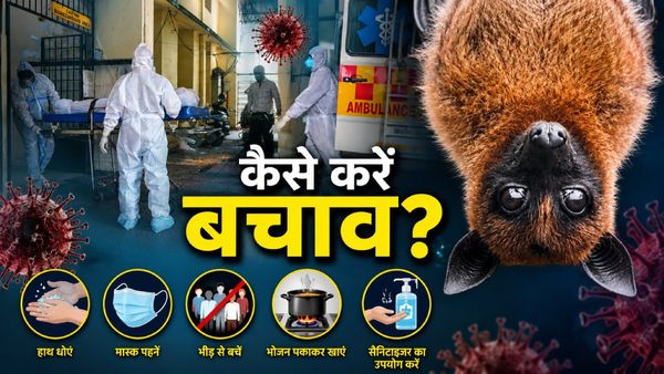 Nipah Virus ने 2 साल बाद फिर दी दस्तक, संक्रमित वेंटिलेटर पर, केरलम में हाई अलर्ट-WHO ने क्या कहा?