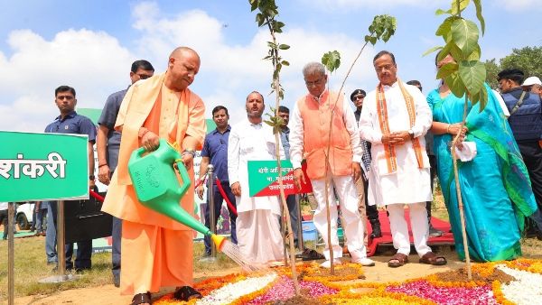 World Environment Day: Lucknow-Ayodhya समेत UP में लगेंगे 5 करोड़ पौधे, CM Yogi कुकरैल वन से देंगे नेतृत्व