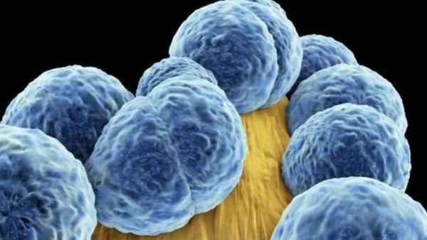 बैक्टीरिया को 1000 गुना ताक़त से टक्कर देगी ये दवा