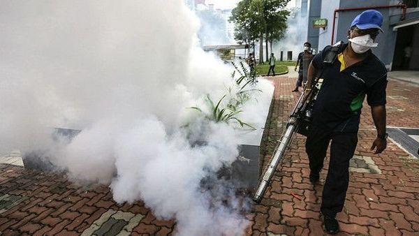 भारत ने क्या ज़ीका संक्रमण के मामलों को छुपाया?