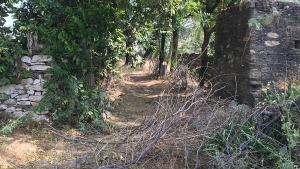 ग्राउंड रिपोर्ट: 'अफ़राजुल की ग़लती थी कि वो मज़दूर थे, मजबूर थे, मुसलमान थे'