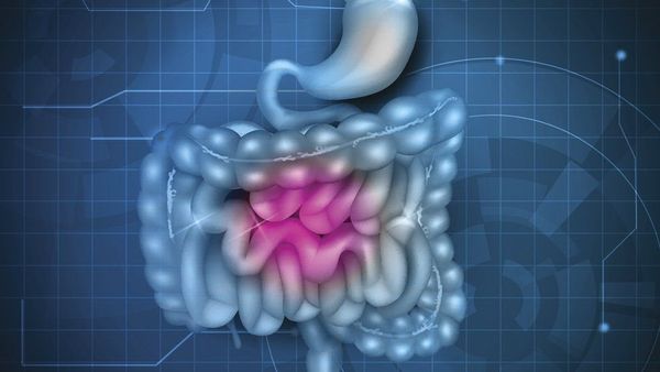 20 दिनों तक 'पॉटी' न करें तो क्या होगा?