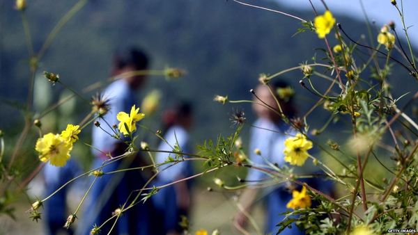 अनाथों को आरक्षण दिलाने वाली अम्रुता करावंदे