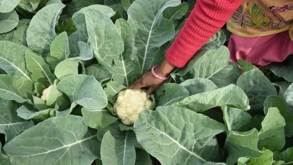 जीडीपी के आंकड़े से मोदी सरकार खुश, लेकिन...