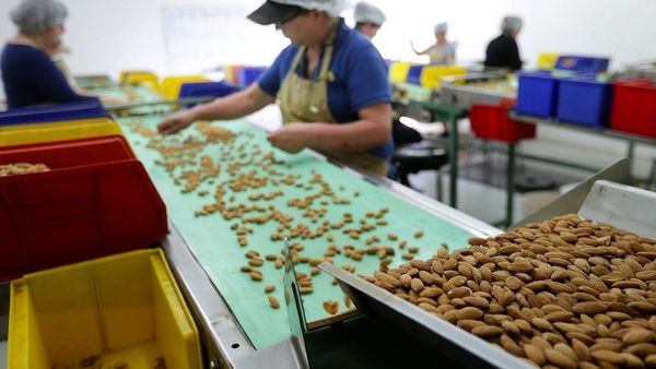 ट्रेड वॉरः सेब, बादाम और अख़रोट सस्ते नहीं खा पाएंगे, जानिए वजह