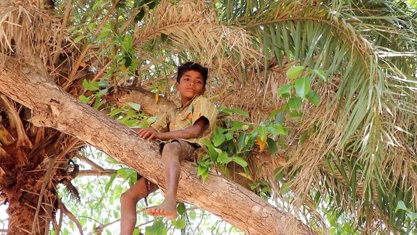बस्तरः जहां विकास शब्द विस्थापन का पैग़ाम लेकर आता है