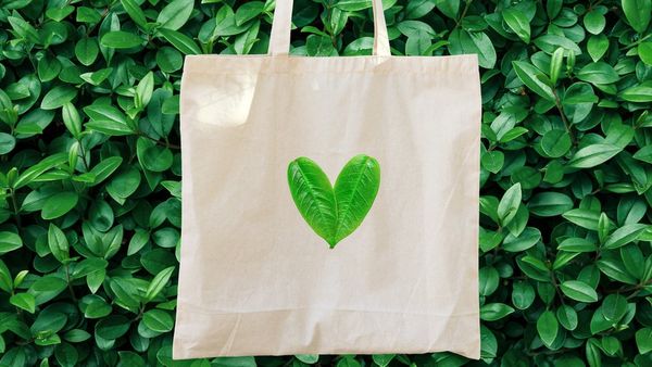 कागज के बैग भी प्लास्टिक जितने ही नुक़सानदेह क्यों?