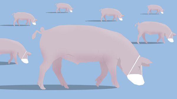 अमरीका: सबसे बड़े हॉटस्पॉट इलाक़े में कैसे फैलता चला गया कोरोना?