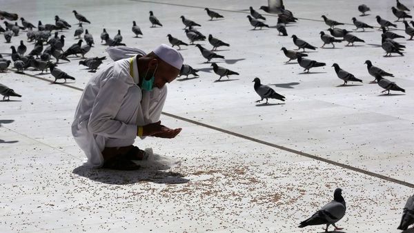 सऊदी अरब का जो मक्का गुलज़ार रहता था, वहां अभी कबूतरों का डेरा है