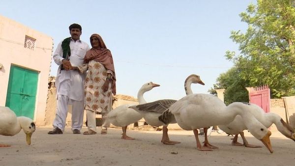 दाफ़िया बाई: बंटवारे में परिवार से बिछड़ने वाली लड़की 73 साल बाद अपनों से मिली