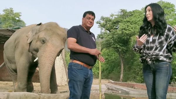 पाकिस्तान में फँसे 'दुनिया के सबसे अकेले हाथी' को नई ज़िंदगी