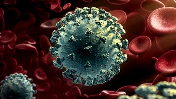 कोरोना वायरस: वुहान की ‘लैब-लीक थ्योरी’ पर इतनी चर्चा क्यों?