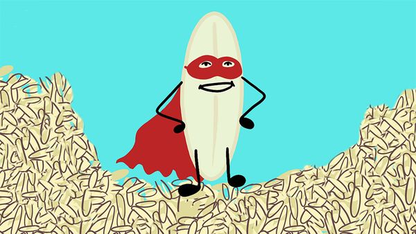 जलवायु परिवर्तन को रोकने के लिए छह असरदार तरीक़े