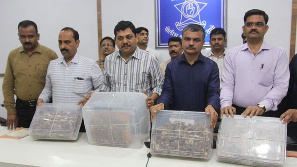 स्पर्म व्हेल की उल्टी की क़ीमत करोड़ों में क्यों होती है?